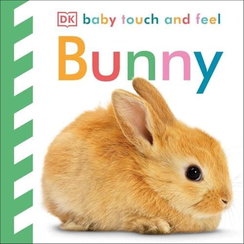Bunny: An Interactive Spring Board Book
